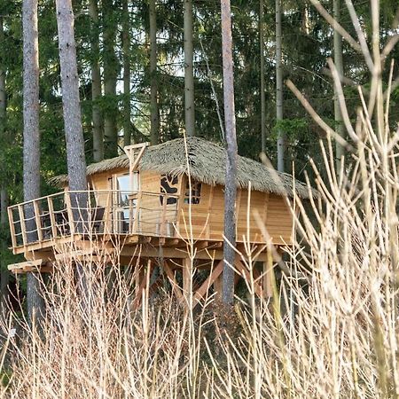 Hotel Treehouse U Rybnika Osecna Zewnętrze zdjęcie
