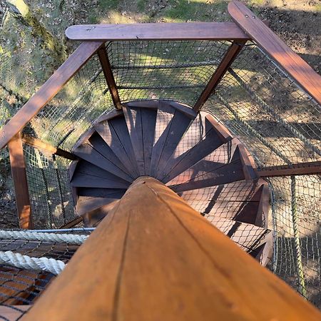 Hotel Treehouse U Rybnika Osecna Zewnętrze zdjęcie