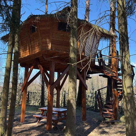 Hotel Treehouse U Rybnika Osecna Zewnętrze zdjęcie
