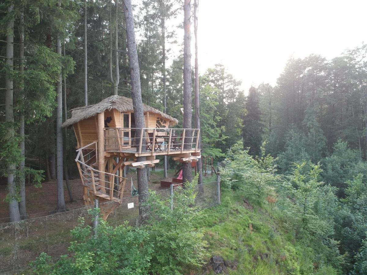 Hotel Treehouse U Rybnika Osecna Zewnętrze zdjęcie