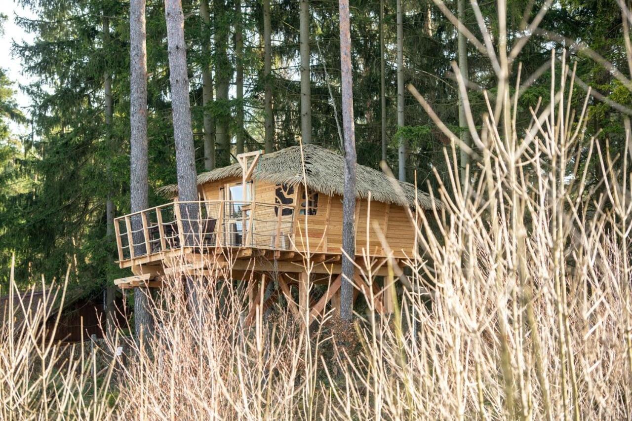 Hotel Treehouse U Rybnika Osecna Zewnętrze zdjęcie