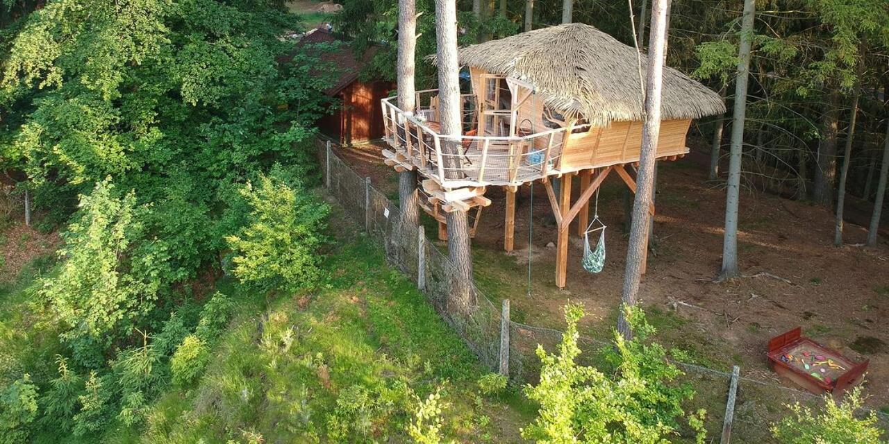 Hotel Treehouse U Rybnika Osecna Zewnętrze zdjęcie